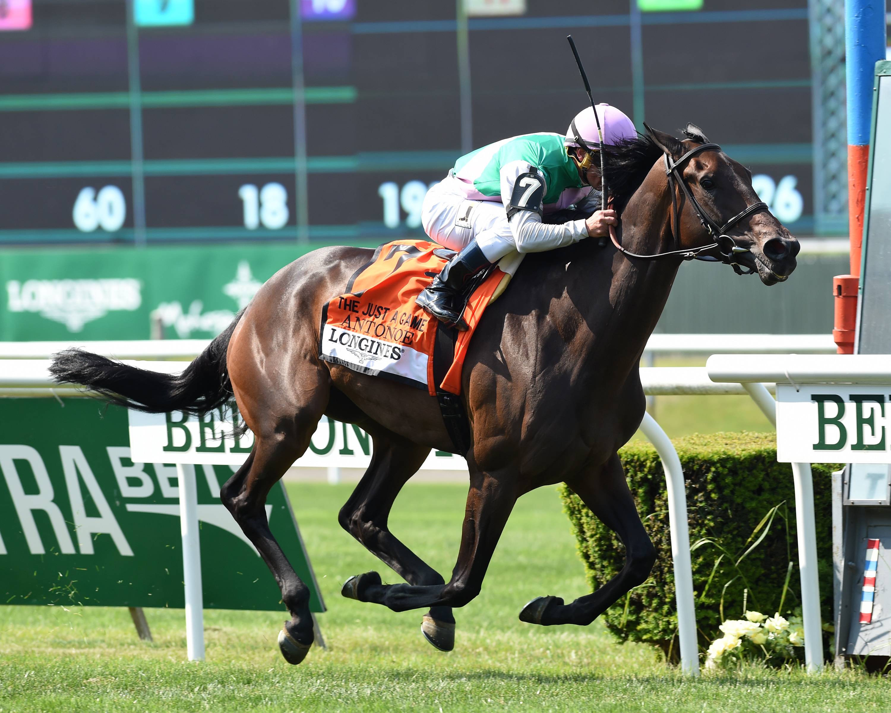 Antonoe steps up in G1 Longines Just a Game Belmont Stakes